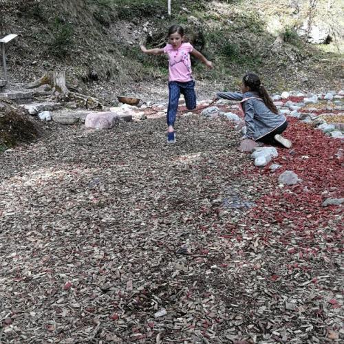 Weitsprung im Wald