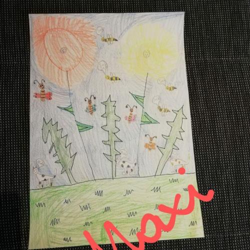 Zeichnung Löwenzahn