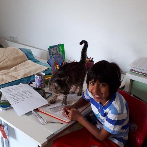 Laura lernt mit Katze