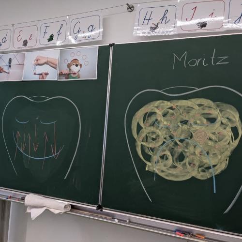 Zahngesundheitserziehung