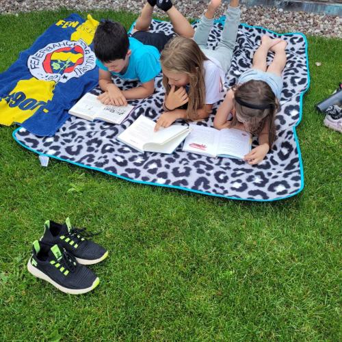 Lesepicknick