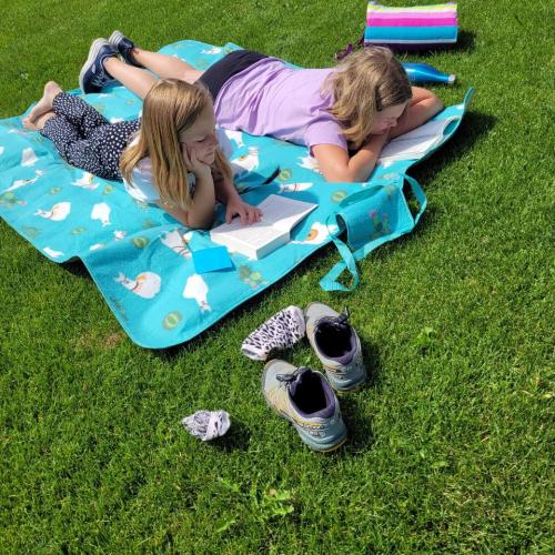 Lesepicknick