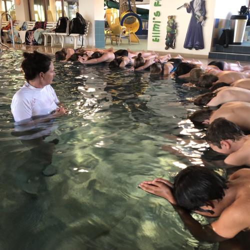 Schwimmtraining