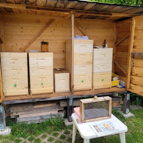 Bienen
