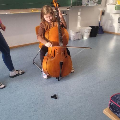 Vorstellung Cello