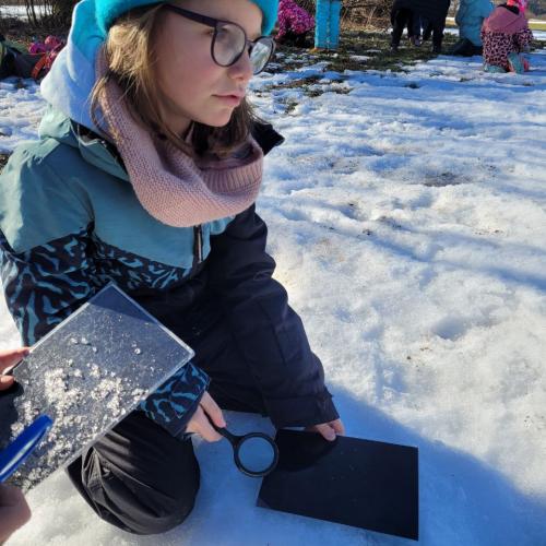 Natopia Winter