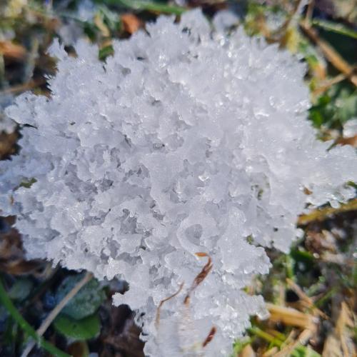 Natopia Winter