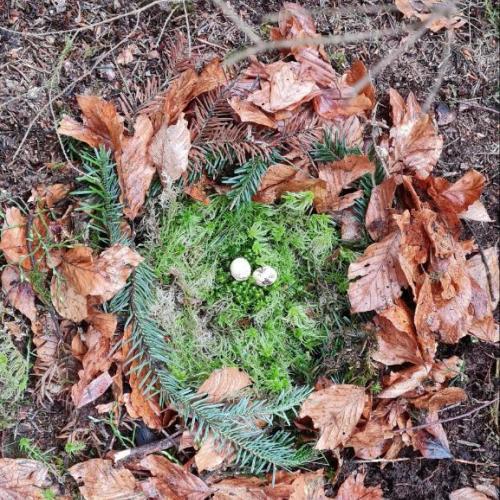 Natopia Frühling