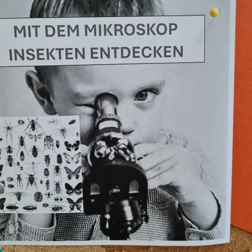 Projekttage 2025