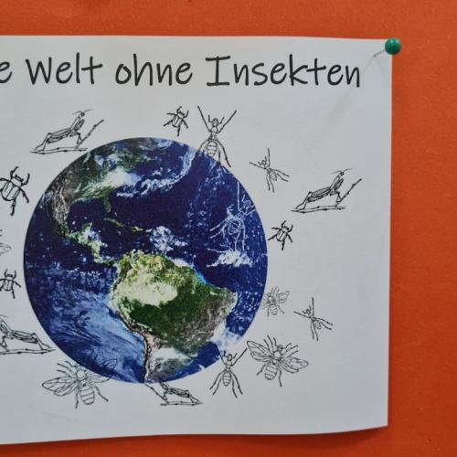 Projekttage 2025