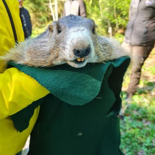 Jägerinnen