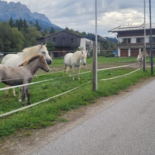 Ralserhof